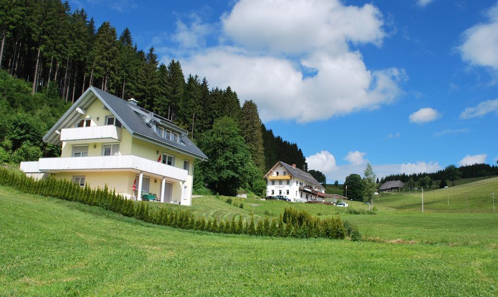 Kuckucksnest Schwaerzenbach Apartment ทิทิเซ-นอยชตัดท์ ห้อง รูปภาพ